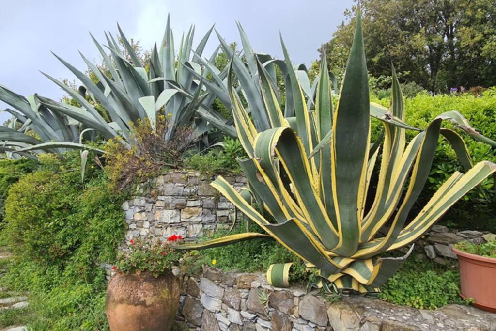 Agave - House With Terrace Volastra Buitenkant foto